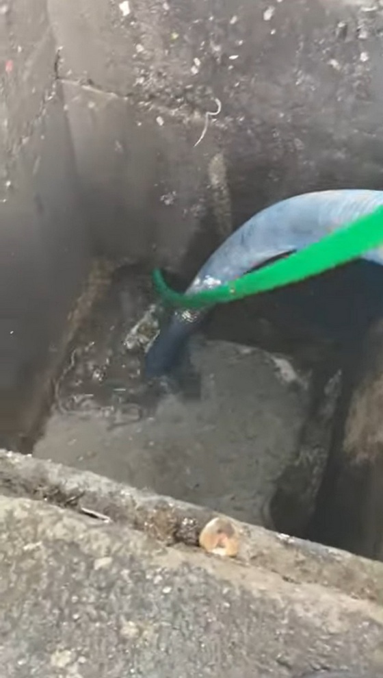 屏東水刀通水管