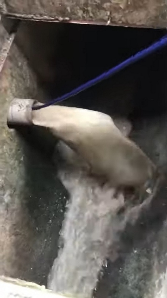 桃園水刀通水管