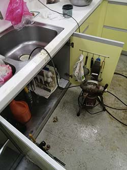 南投魚池鄉通水管 