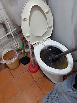 埔里通馬桶
